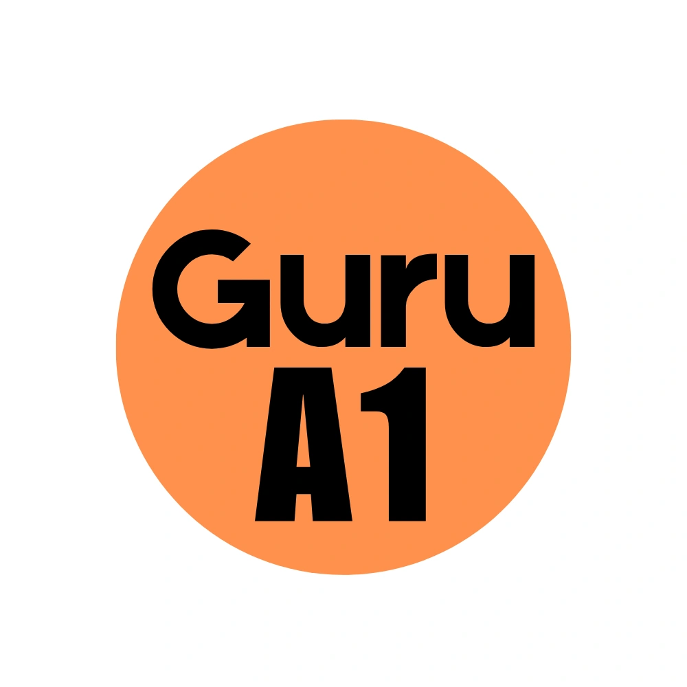 gurua1.com