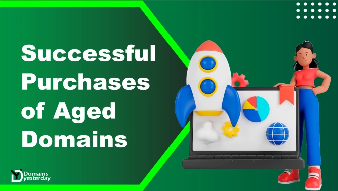 Case Studies: Successful Purchases of Aged Domains