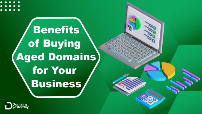 Benefits of Buying Aged Domains for Your Business