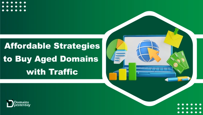 Affordable Strategies to Buy Aged Domains with Traffic
